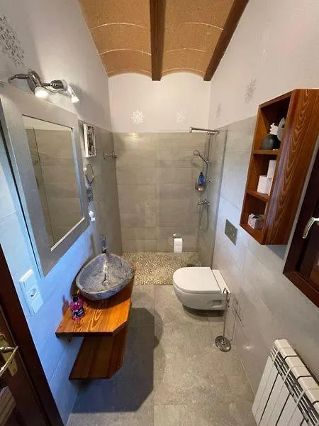 Finca Bis 8 Personen Villa Manacor  Holiday home