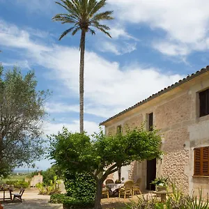 Es Pla De Llodra Manacor (Mallorca)